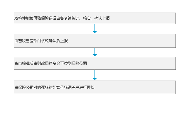 政策性能繁母猪保险费补贴办理流程.png