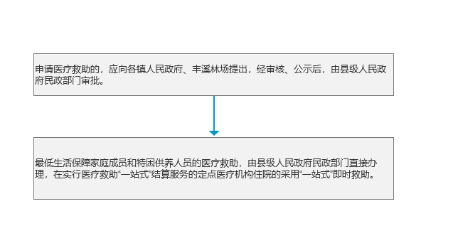 医疗救助办理流程.png