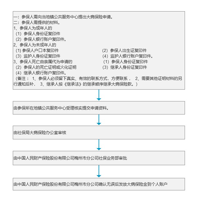 城乡居民医保大病保险办理流程.jpg